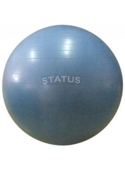  Мяч гимнастический 75 см с насосом голубой