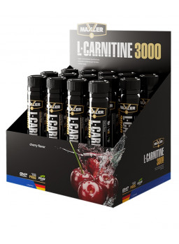  L-Carnitine 3000 
