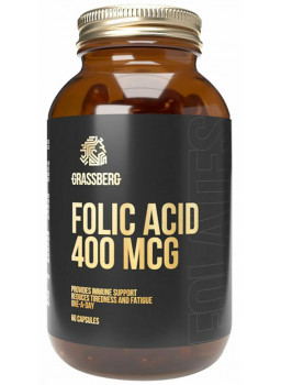  Folic Acid 400 mcg 